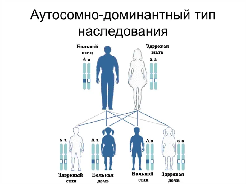 Приложение В. Информация для пациента — Синдром дефицита Glut1