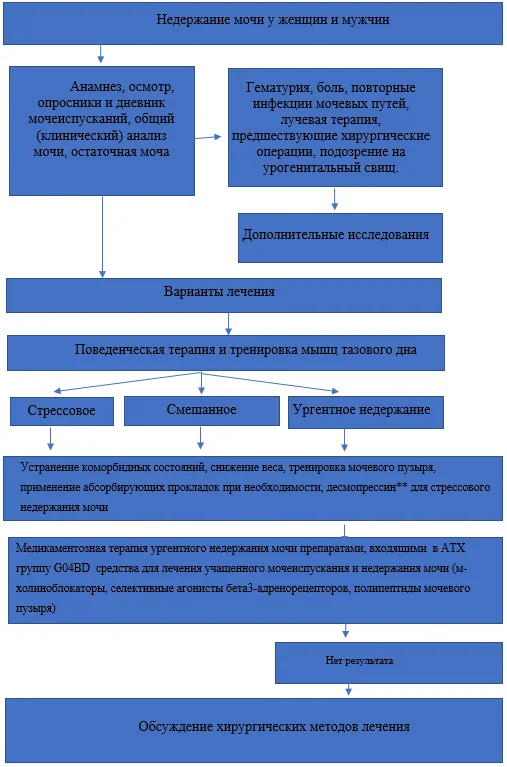 Приложение Б. Алгоритмы действий врача — Недержание мочи