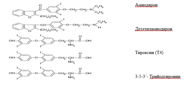 1.2 Этиология и патогенез заболевания или состояния (группы заболеваний или состояний) — Амиодарон-индуцированная дисфункция щитовидной железы