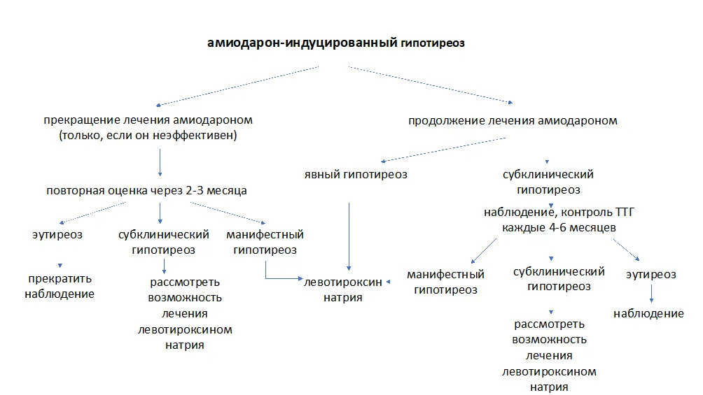 Приложение Б. Алгоритмы действий врача — Амиодарон-индуцированная дисфункция щитовидной железы
