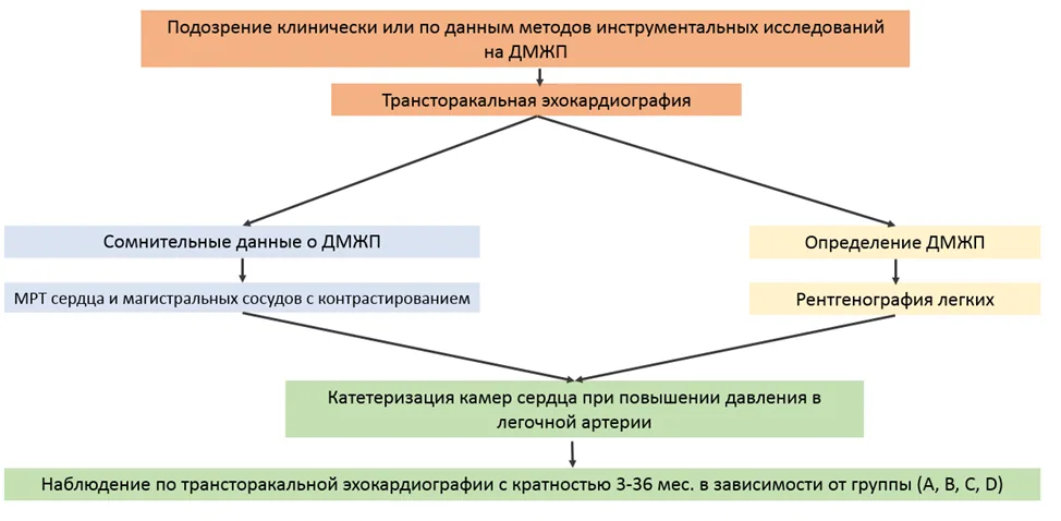 Приложение Б. Алгоритмы действий врача — Дефект межжелудочковой перегородки