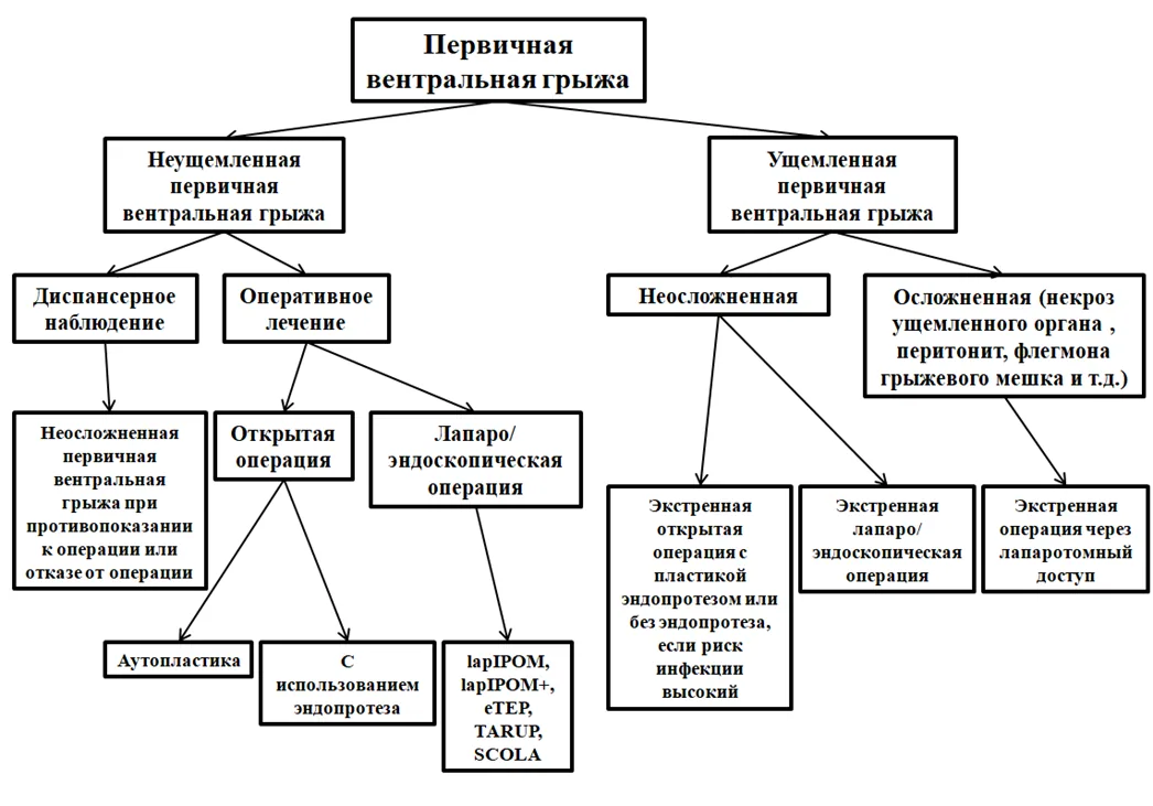 Приложение Б. Алгоритмы действий врача — Прочие первичные грыжи брюшной стенки