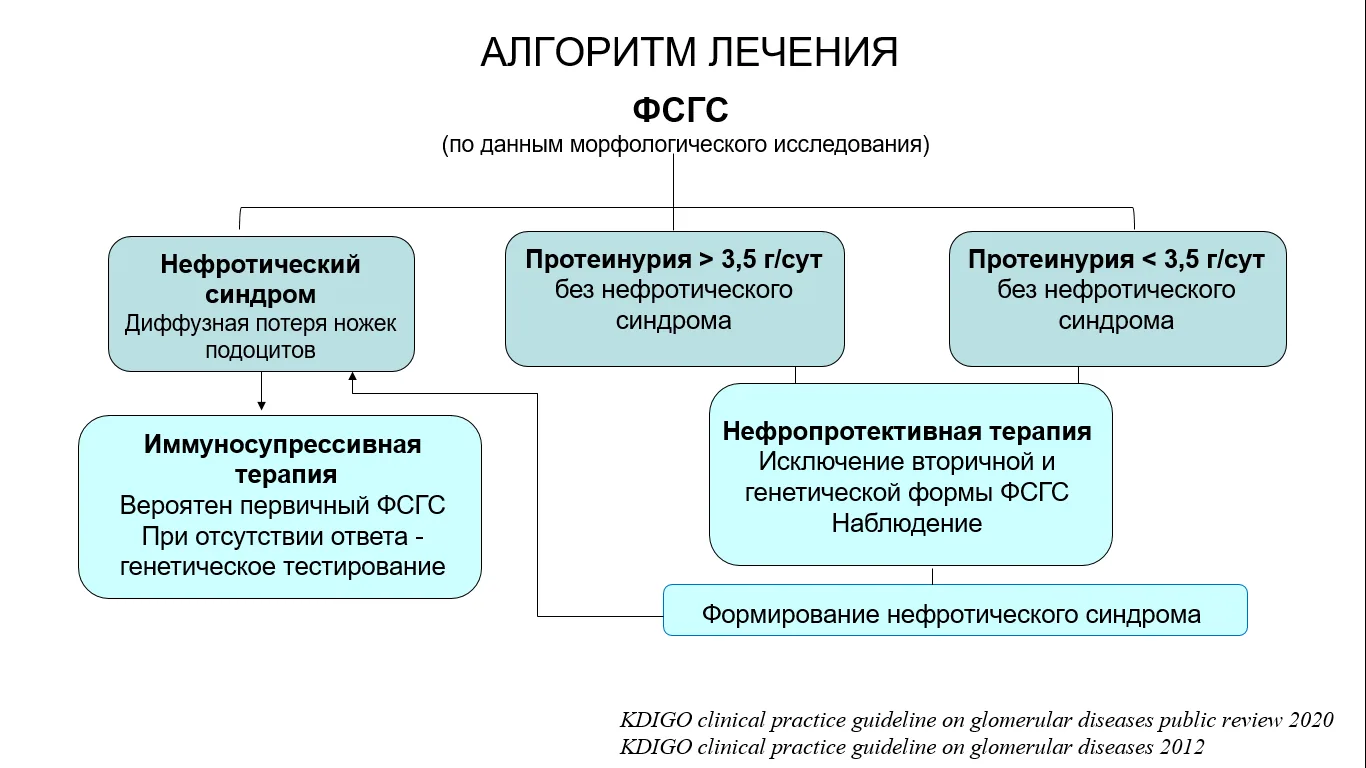 Приложение Б. Алгоритмы действий врача — Гломерулярные болезни: фокально-сегментарный гломерулосклероз