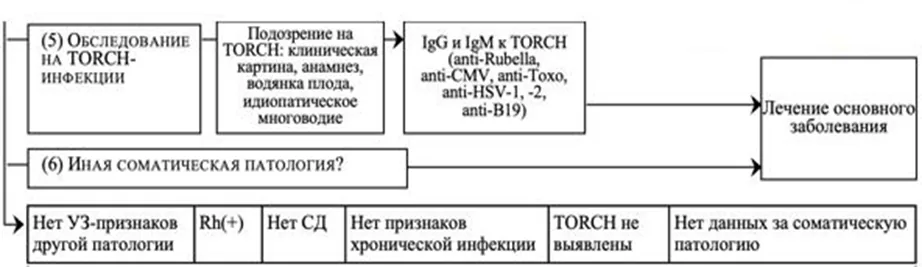 Приложение Б. Алгоритмы действий врача — Аномалии объема амниотической жидкости (многоводие, маловодие)