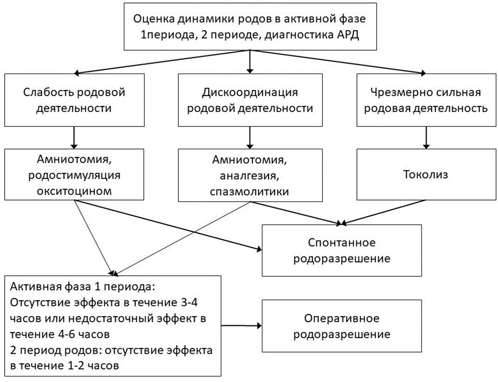 Приложение Б. Алгоритмы действий врача — Аномалии родовой деятельности