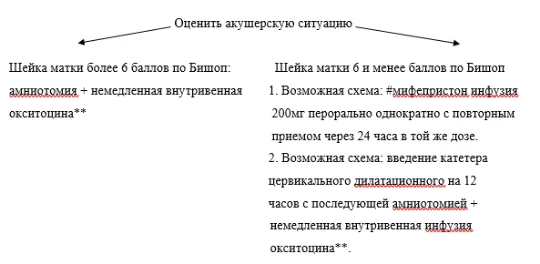 Приложение Б. Алгоритмы действий врача — Медицинская помощь матери при установленных или предполагаемых аномалиях и повреждениях плода, и антенатальной гибели плода