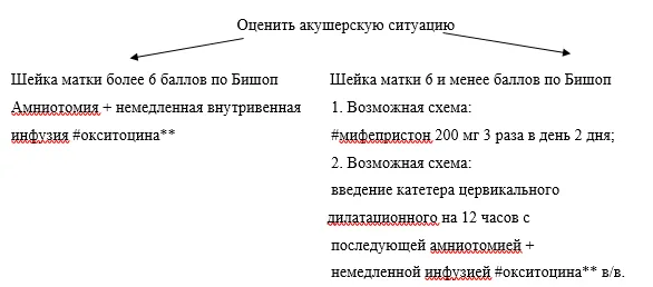 Приложение Б. Алгоритмы действий врача — Медицинская помощь матери при установленных или предполагаемых аномалиях и повреждениях плода, и антенатальной гибели плода