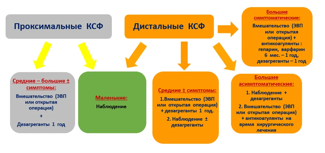 Приложение Б. Алгоритмы действий врача — Аномалия развития коронарных сосудов