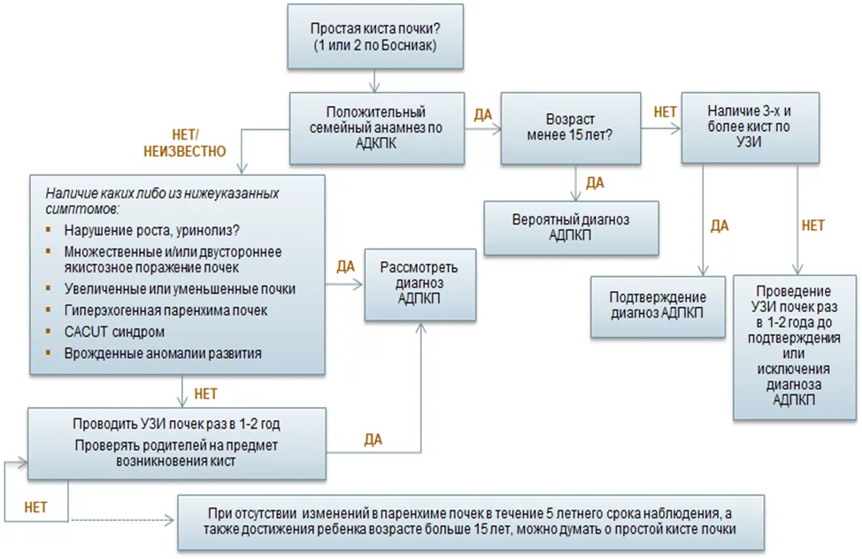 Приложение Б. Алгоритмы действий врача — Киста почки у детей