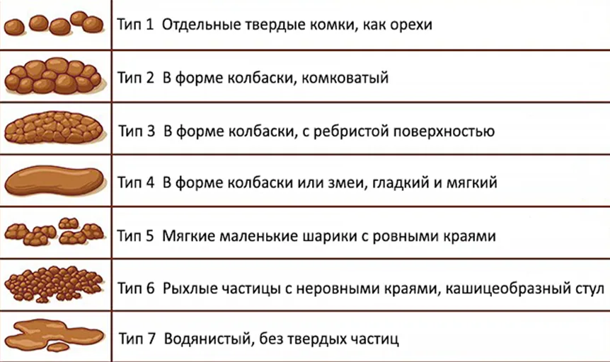 Приложение Г1 - Г... Шкалы оценки, вопросники — Энтероколит, вызванный Clostridioides difficile (C. difficile)