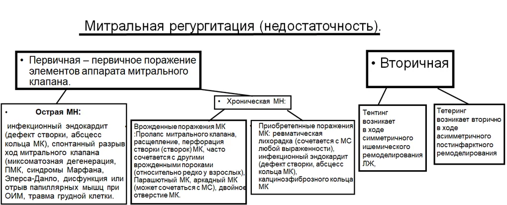 Приложение А3. Справочные материалы — Митральная недостаточность