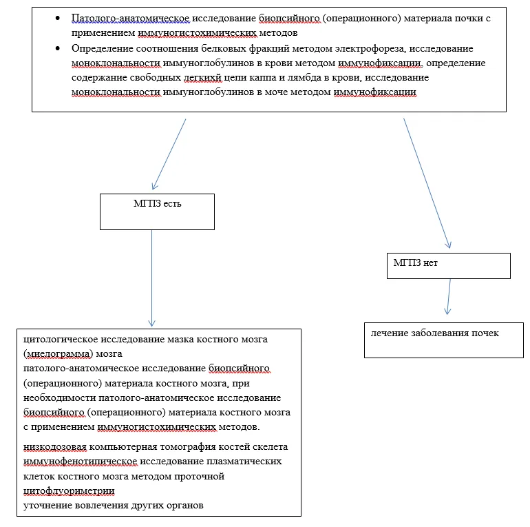 Приложение Б. Алгоритмы действий врача — Другие плазмоклеточные новообразования