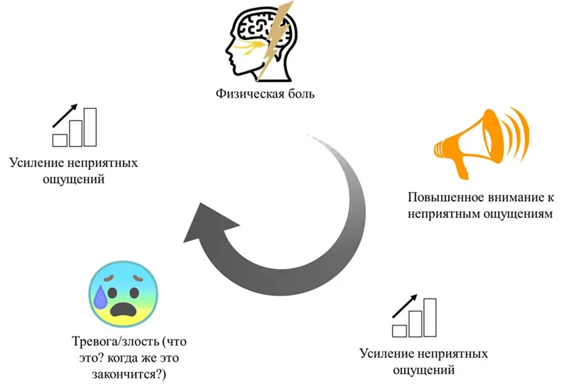 Приложение В. Информация для пациента — Краниальные мононейропатии у взрослых