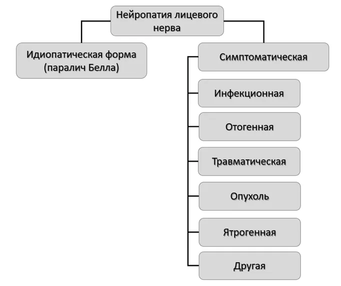 Приложение В. Информация для пациента — Краниальные мононейропатии у взрослых