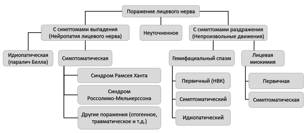 1.1 Определение заболевания или состояния — Краниальные мононейропатии у взрослых