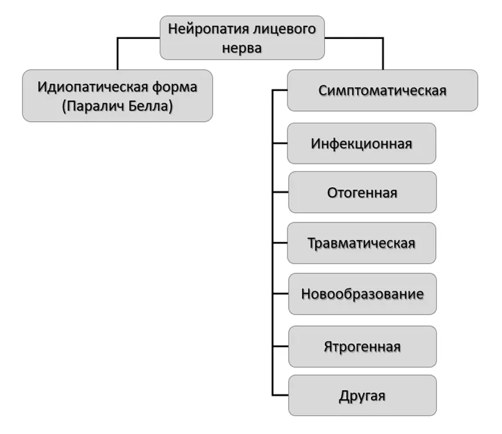 1.2 Этиология и патогенез заболевания или состояния (группы заболеваний или состояний) — Краниальные мононейропатии у взрослых