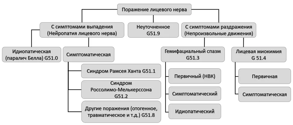 1.5 Классификация заболевания или состояния — Краниальные мононейропатии у взрослых