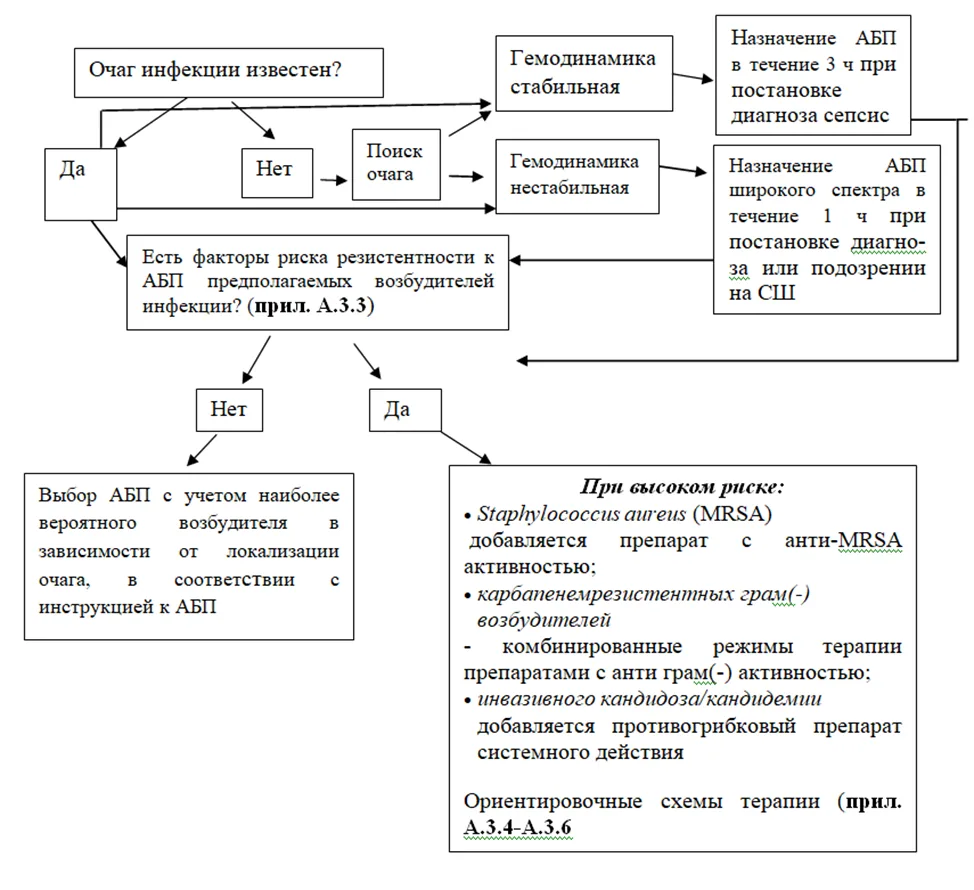 Приложение Б. Алгоритмы действий врача — Сепсис (у взрослых)