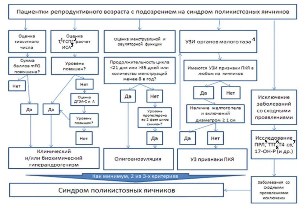 Приложение Б. Алгоритмы действий врача — Синдром поликистозных яичников