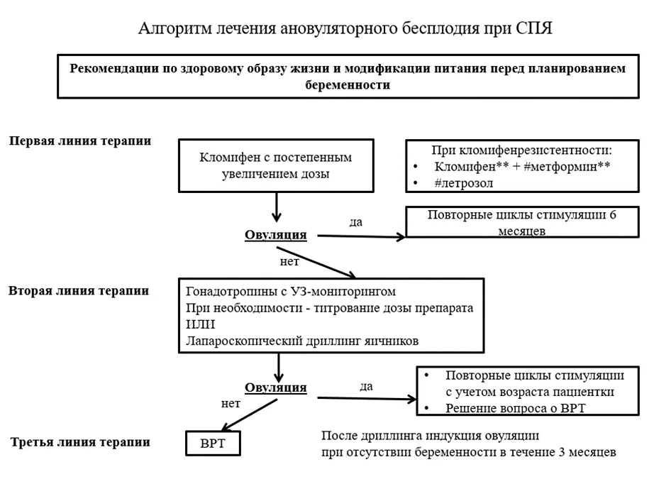 Приложение Б. Алгоритмы действий врача — Синдром поликистозных яичников