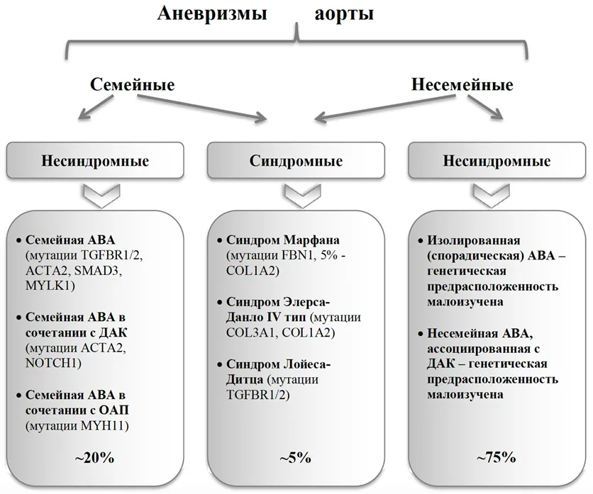 1.5 Классификация заболевания или состояния — Аневризмы грудной и торакоабдоминальной аорты