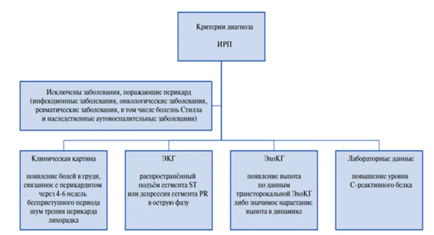 7. Дополнительная информация — Перикардиты и заболевания перикарда у детей