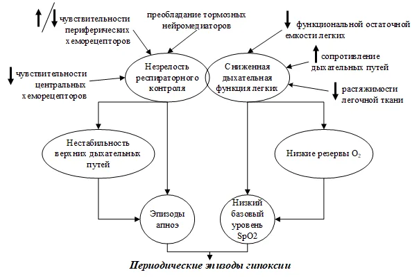 1.2 Этиология и патогенез заболевания или состояния (группы заболеваний или состояний) — Апноэ недоношенных новорождённых