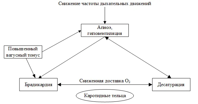 1.2 Этиология и патогенез заболевания или состояния (группы заболеваний или состояний) — Апноэ недоношенных новорождённых