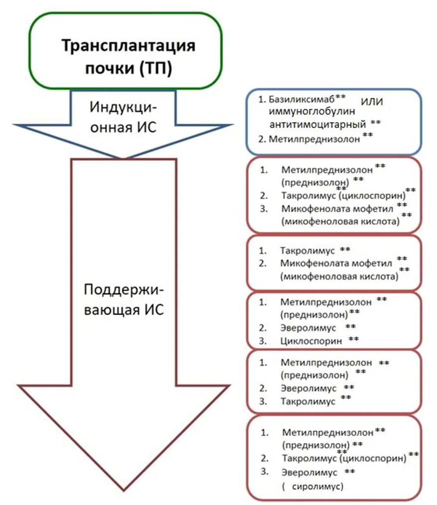 Приложение Б. Алгоритмы действий врача — Трансплантация почки, наличие трансплантированной почки, отмирание и отторжение трансплантата почки
