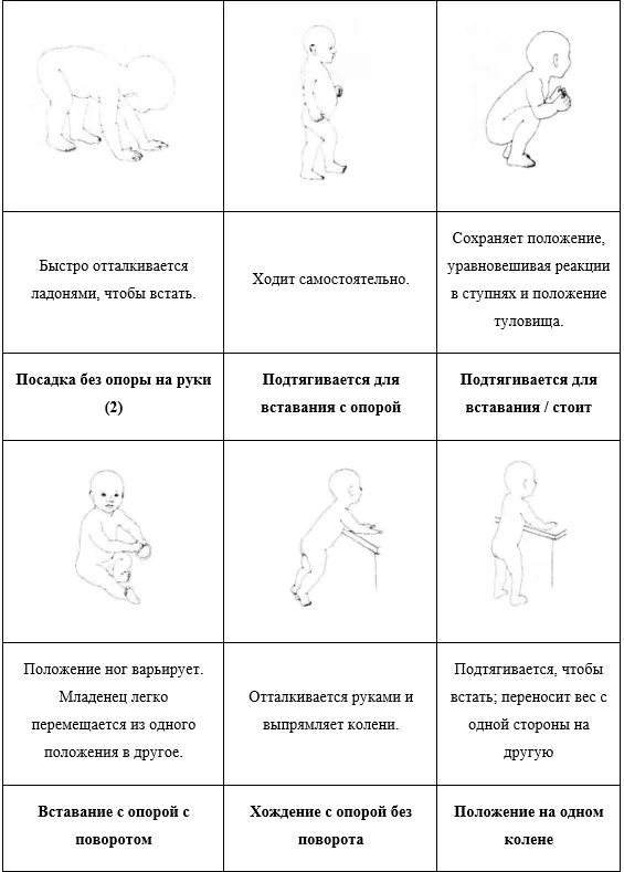 Приложение Г1 - Г... Шкалы оценки, вопросники — Множественная недостаточность карбоксилаз (недостаточность биотинидазы и синтетазы голокарбоксилаз)