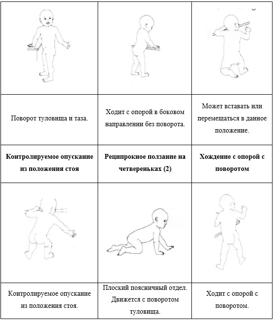 Приложение Г1 - Г... Шкалы оценки, вопросники — Множественная недостаточность карбоксилаз (недостаточность биотинидазы и синтетазы голокарбоксилаз)