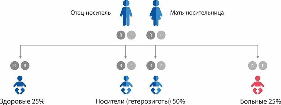 Приложение В. Информация для пациента — Множественная недостаточность карбоксилаз (недостаточность биотинидазы и синтетазы голокарбоксилаз)