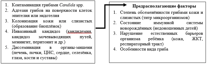 1.2 Этиология и патогенез заболевания или состояния (группы заболеваний или состояний) — Кандидоз новорождённых