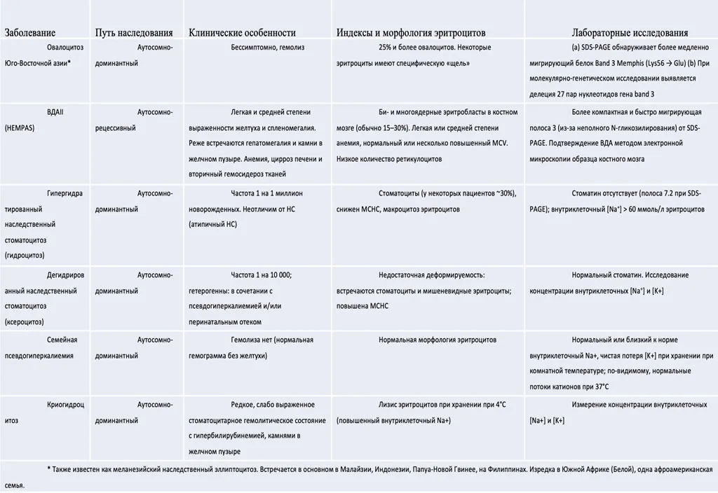 Приложение А3. Справочные материалы — Наследственный сфероцитоз