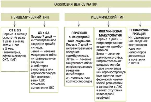 Приложение Б. Алгоритмы действий врача — Ретинальные венозные окклюзии