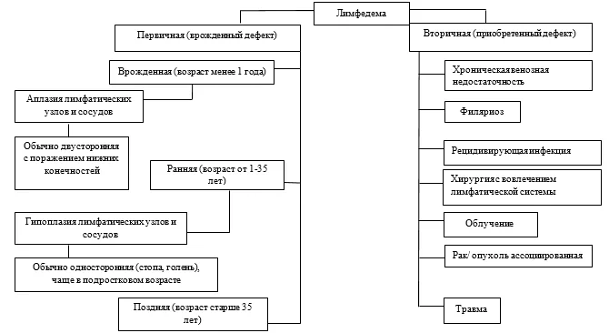 1.2 Этиология и патогенез заболевания или состояния (группы заболеваний или состояний) — Лимфедема конечностей