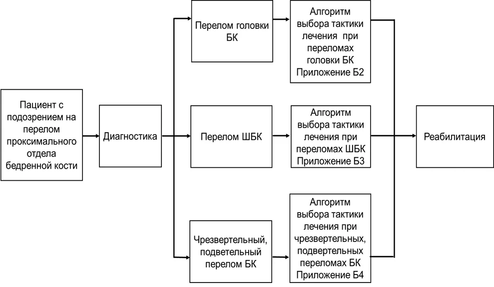 Приложение Б. Алгоритмы действий врача — Переломы проксимального отдела бедренной кости