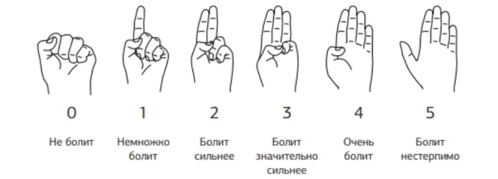 Приложение Г1 - Г... Шкалы оценки, вопросники — Переломы проксимального отдела бедренной кости