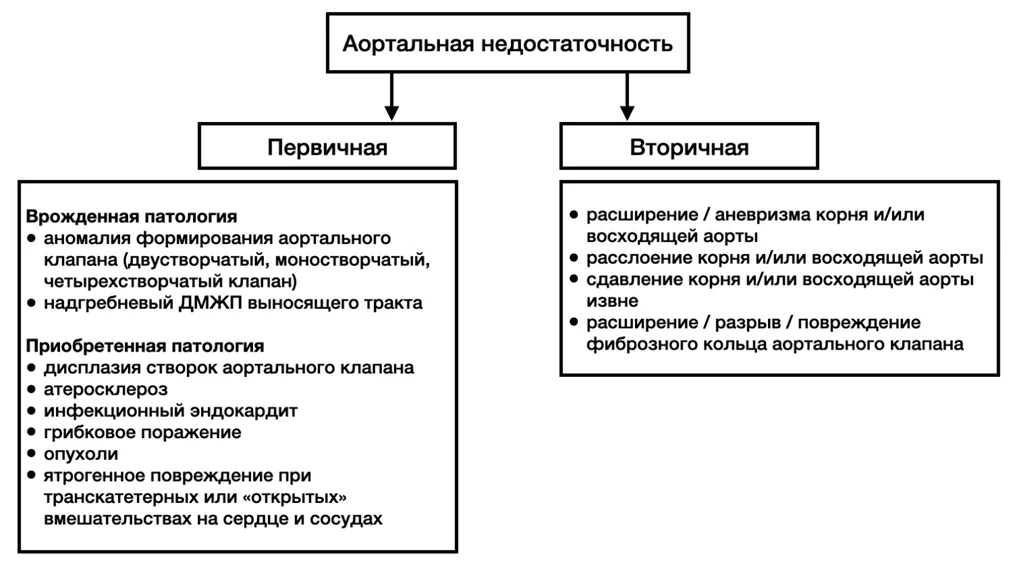 Приложение А3. Справочные материалы — Аортальная недостаточность