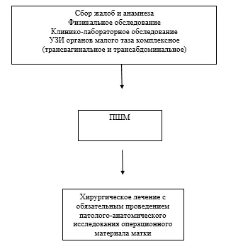 Приложение Б. Алгоритмы действий врача — Полип шейки матки