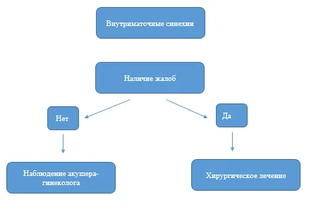 Приложение Б. Алгоритмы действий врача — Внутриматочные синехии