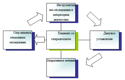 Приложение Б. Алгоритмы действий врача — Сперматоцеле
