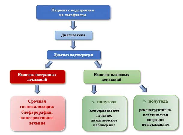 Приложение Б. Алгоритмы действий врача — Лагофтальм