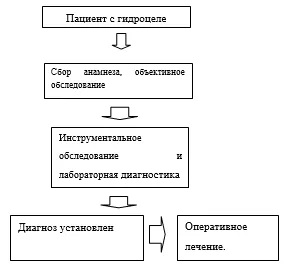 Приложение Б. Алгоритмы действий врача — Гидроцеле