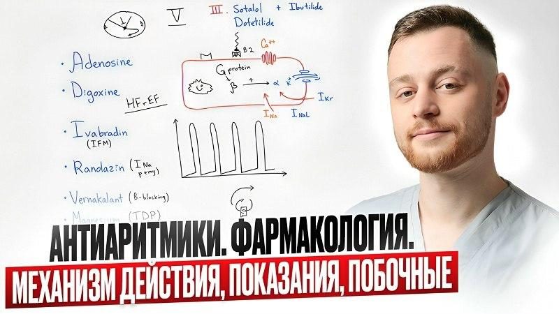Антиаритмики — схема